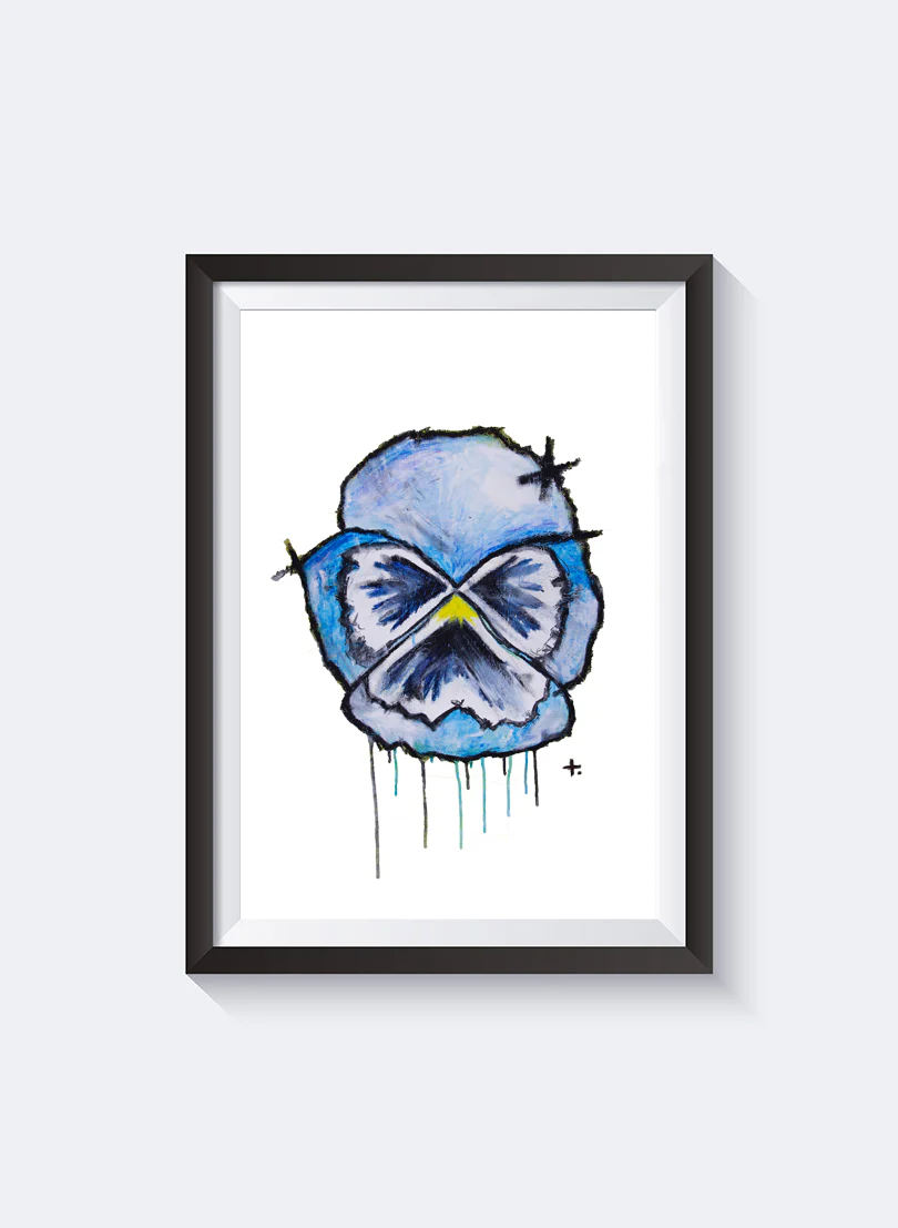 Notvoiceo Blue Pansy - Notvoiceo