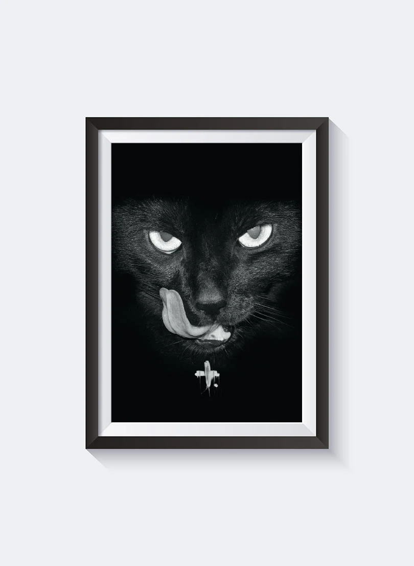 Notvoiceo Black Cat - Notvoiceo