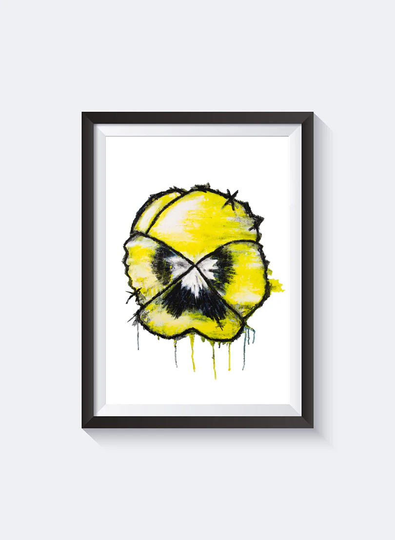 Notvoiceo Yellow Pansy - Notvoiceo