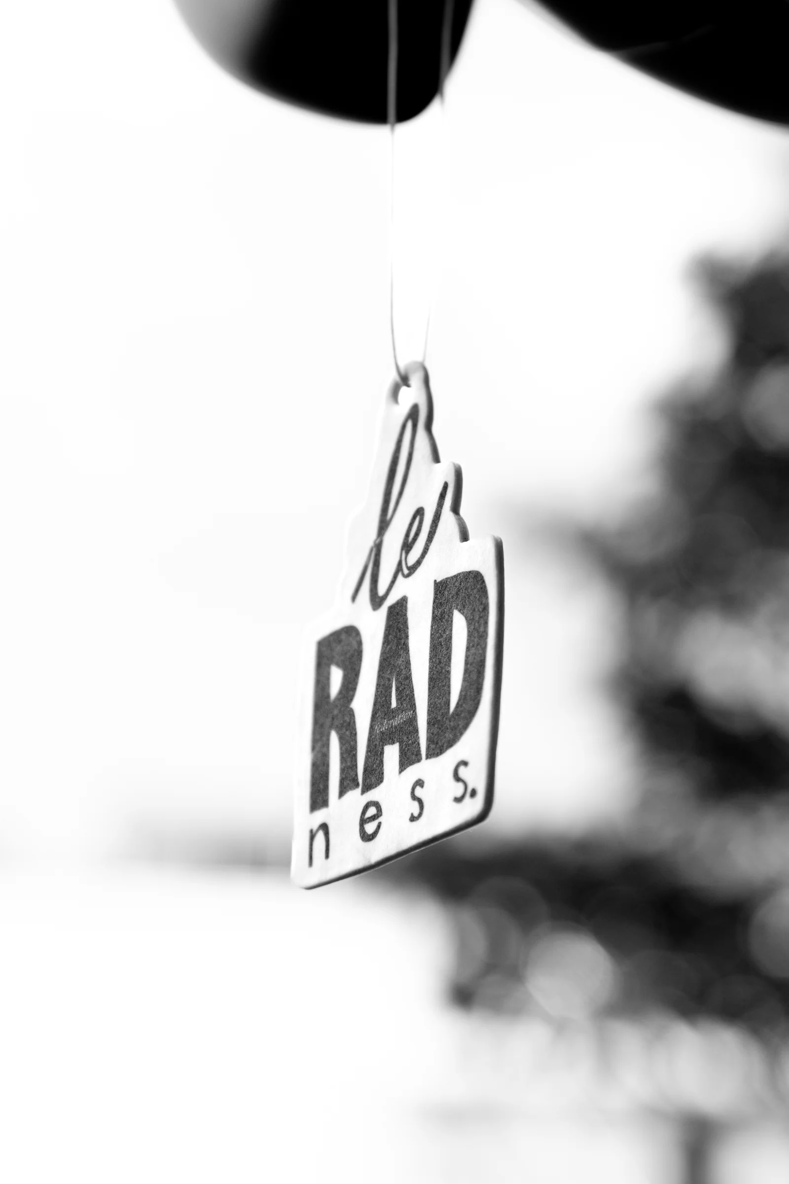 Notvoiceo Air Freshener - Le Radness - Notvoiceo